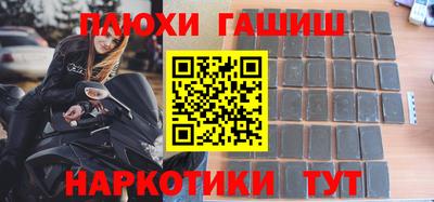 сатива Краснознаменск