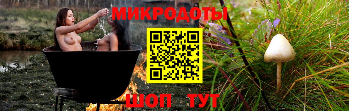 Псилоцибиновые грибы GOLDEN TEACHER Красногорск