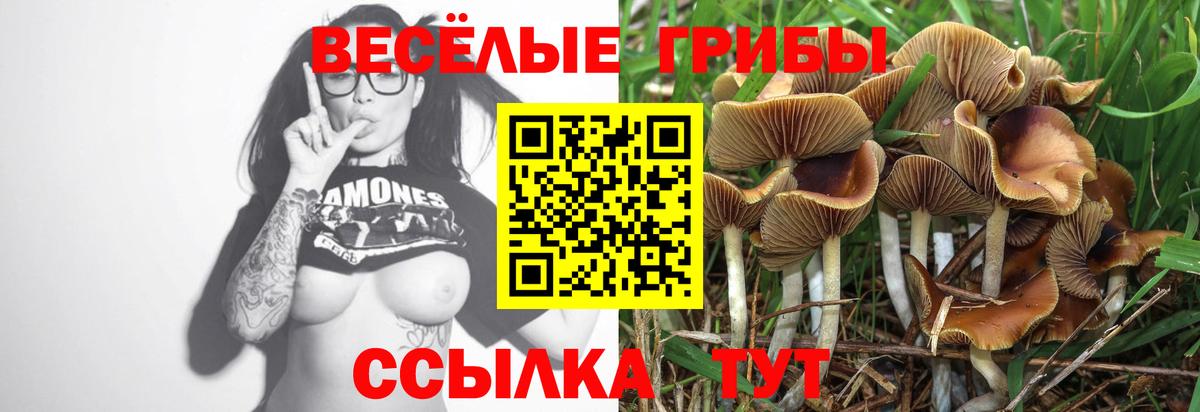 Псилоцибиновые грибы GOLDEN TEACHER  Вход с VPN  Красногорск  Галлюциногенные грибы MAGIC MUSHROOMS 